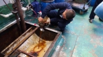 上海每年3万多吨“地沟油”何去何从？记者跟踪发现竟然都去了一个地方 - Sh.Eastday.Com