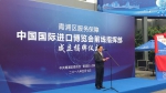 青浦区成立服务保障中国国际进口博览会前线指挥部 - 上海商务之窗