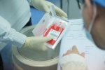 弟弟骨髓配对不成功 “三胎”妹妹用脐带血救血液病姐姐 - 上海女性