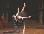 芭蕾伴着残酷，但美溢于言表 - 上海女性