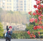 闵行区合川路和新泾港之间的运动休闲绿地上，市民们前来散步赏景。解放日报记者 李茂君 摄 - 新浪上海