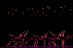 一场华丽的芭蕾盛宴——辽宁芭蕾舞蹈团《芭蕾精品》在校上演 - 上海财经大学