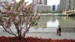 上海今年建百个美丽街区 苏州河两岸42公里明年底贯通 - 新浪上海