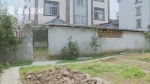 上海一小区围墙被私开17扇门 绿化被改造为菜园 - 新浪上海