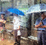 图说：清早雨中，公交车站台上就聚集了不少候车人  种楠 摄 - 新浪上海