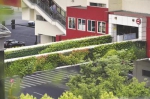 上海在城市更新中推广立体绿化 给建筑披上绿色外衣 - 新浪上海