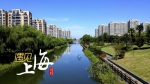 闵行全力实施宜居宜业工程 补齐公共服务城市功能短板 - 新浪上海