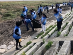 学校组织开展东海滩涂捡拾垃圾     志愿环保服务绿色发展 - 上海电力学院