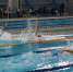 上财学子在2019年上海市大学生游泳锦标赛中“泳”夺6金12银7铜 - 上海财经大学