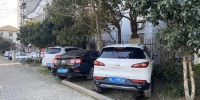 图说：军工路平凉路路口的绿化带成了停车场 新民晚报记者 陈浩 摄（下同） - 新浪上海