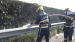 图说：消防队员迅速到场处置 嘉定区消防救援支队供图 - 新浪上海
