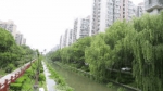 松江九里亭河道将新增4条滨河步道 打造四季有景滨水空间 - 新浪上海
