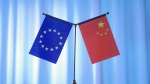 香港《文汇报》| 高健：中欧顺利完成投资协定谈判是中国对外开放的新起点 - 上海外国语大学