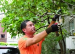 新一届上海工匠、市绿化管理指导站环保绿化首席技师王伟伟 - 总工会