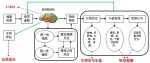 复旦大学戴伟辉团队实现基于现场观测信息的群体情感计算 - 复旦大学