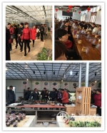 崇明区妇联组队参加农旅联盟交流活动 - 上海女性