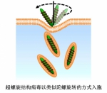 《德国应用化学》报道华理超分子“环化反应”现象的新发现 - 华东理工大学