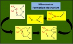 环建学院青年东方学者史焕聪在《Envirionmental Science and Technology》上发表最新研究成果 - 上海理工大学