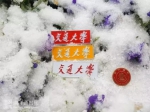 沪上高校纷纷晒雪景，一大波美图来袭！ - Sh.Eastday.Com