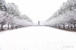 沪上高校纷纷晒雪景，一大波美图来袭！ - Sh.Eastday.Com