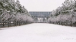 沪上高校纷纷晒雪景，一大波美图来袭！ - Sh.Eastday.Com