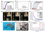 《Advanced Functional Materials》发表我校在蛋白质吸附分离用纳米纤维材料研究领域的最新研究成果 - 东华大学