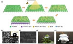 《纳米能源》发表我校研究团队
在可穿戴发电织物领域的最新研究成果 - 东华大学